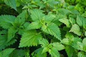 Herbs to increase the effectiveness
