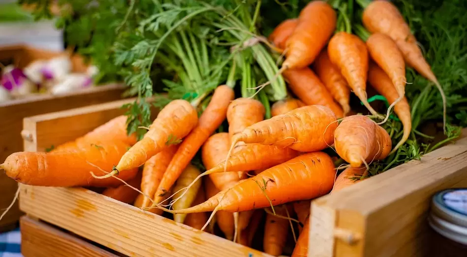 carrots for potency