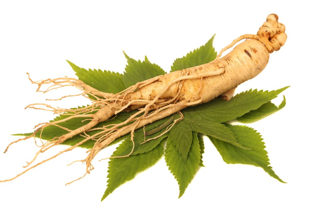 ginseng - a component of the composition Alfazone